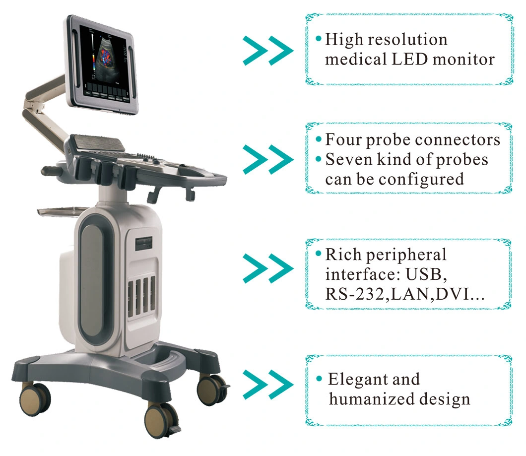 Medical Ultrasonic Instrument 4D Digital Color Doppler Trolley Ultrasound Scanner