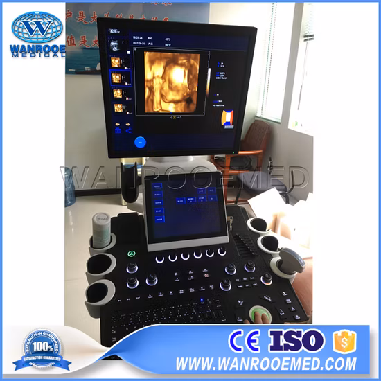 Scanner médical d'ultrason de Doppler de couleur de système de diagnostic ultrasonique du chariot 4D médical Usc900