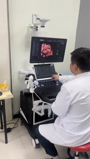 Équipement de diagnostic médical ultrasonique Dwt50, haut
